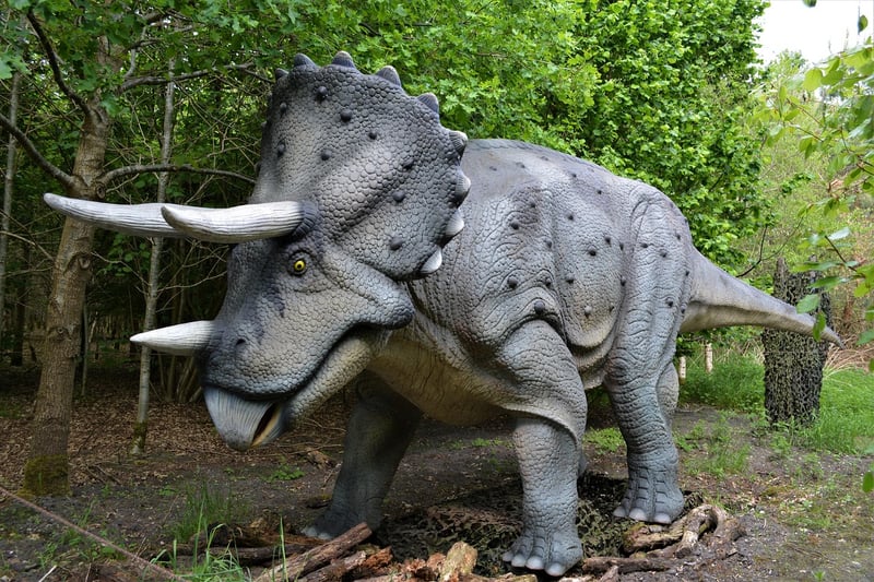 Jurassic Period Dinosaurs